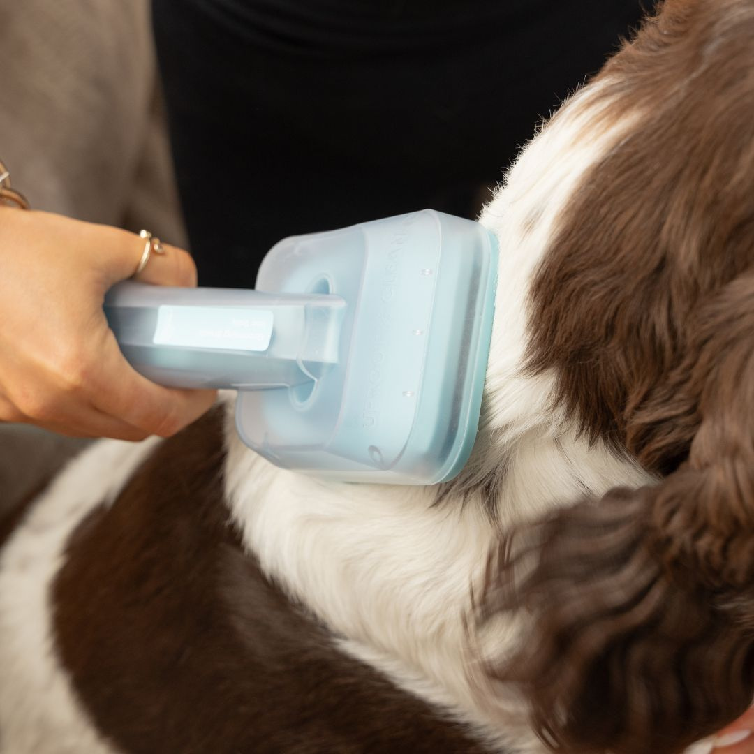 Paws & Purrz Advanced Pro 7-in-1 All-Inclusive Pet Grooming Kit with Nail Trimmer & Grinder