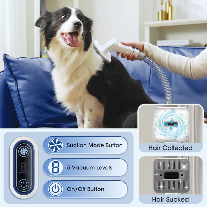 Paws & Purrz Advanced HairHero 7-in-1 Grooming Vacuum Blue