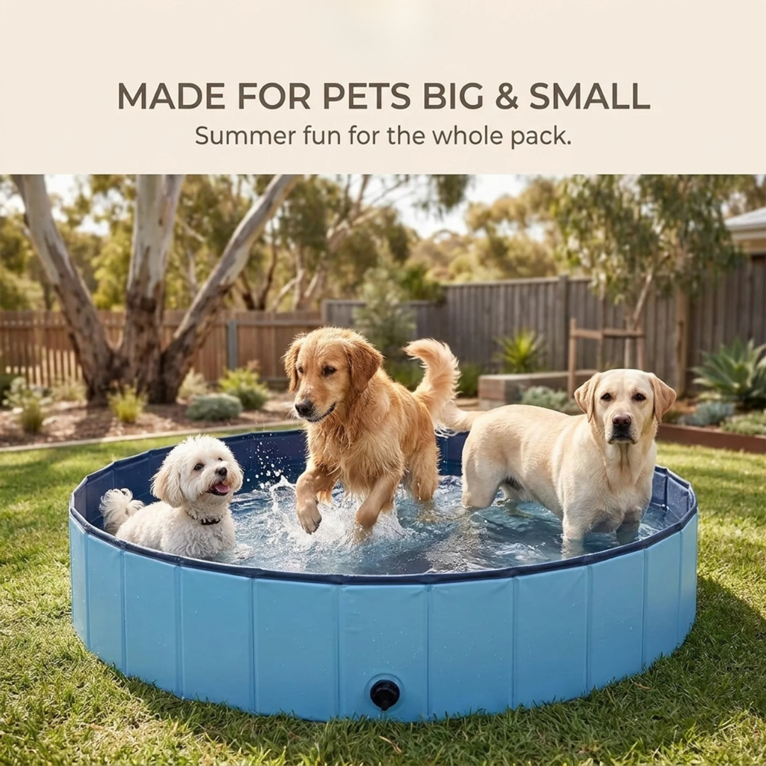 Paws & Purrz Summer Splash Doggy Pool