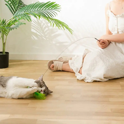 Interactive Bird Simulation Cat Toy