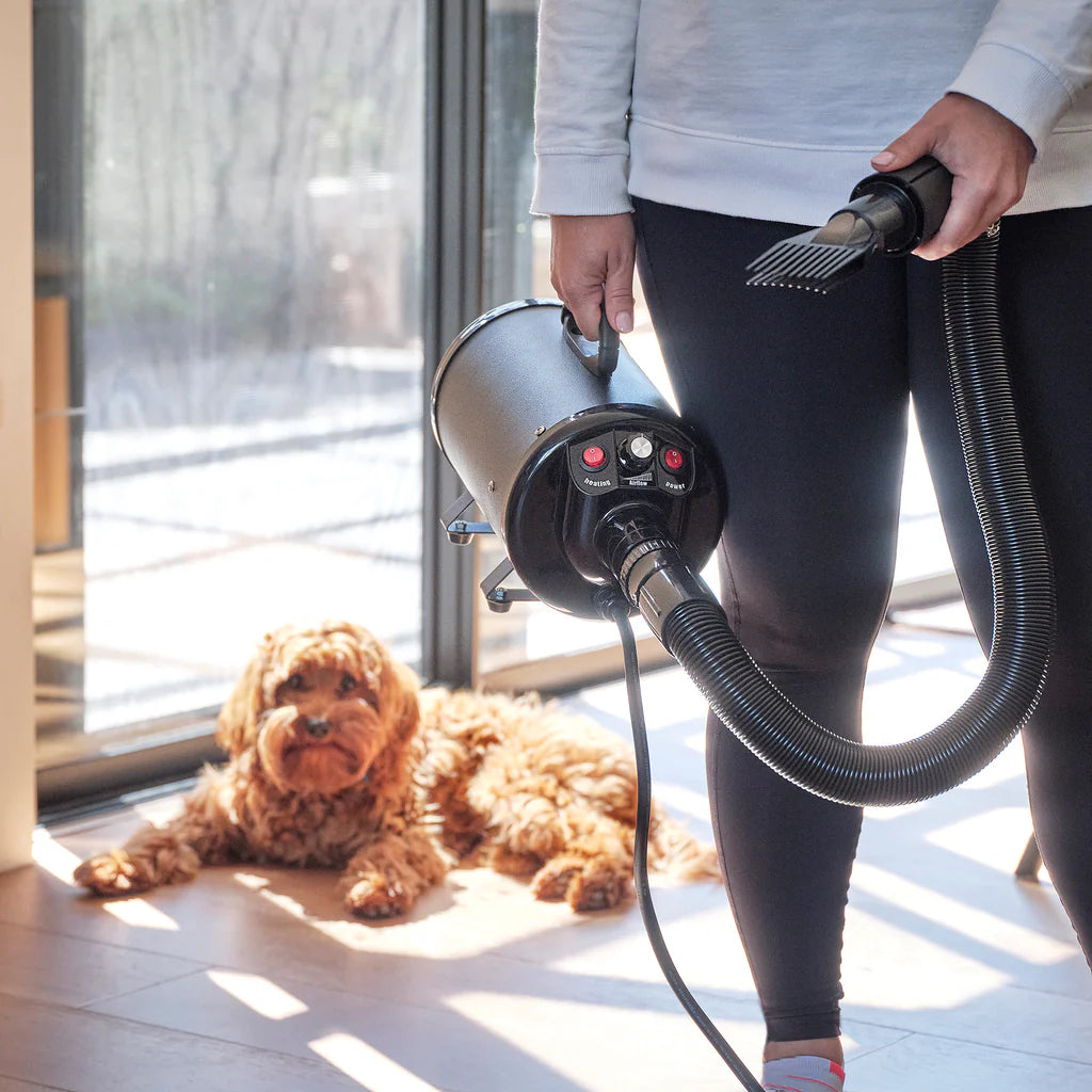 Pet Grooming Dryer – Fast & Quiet Grooming Blower