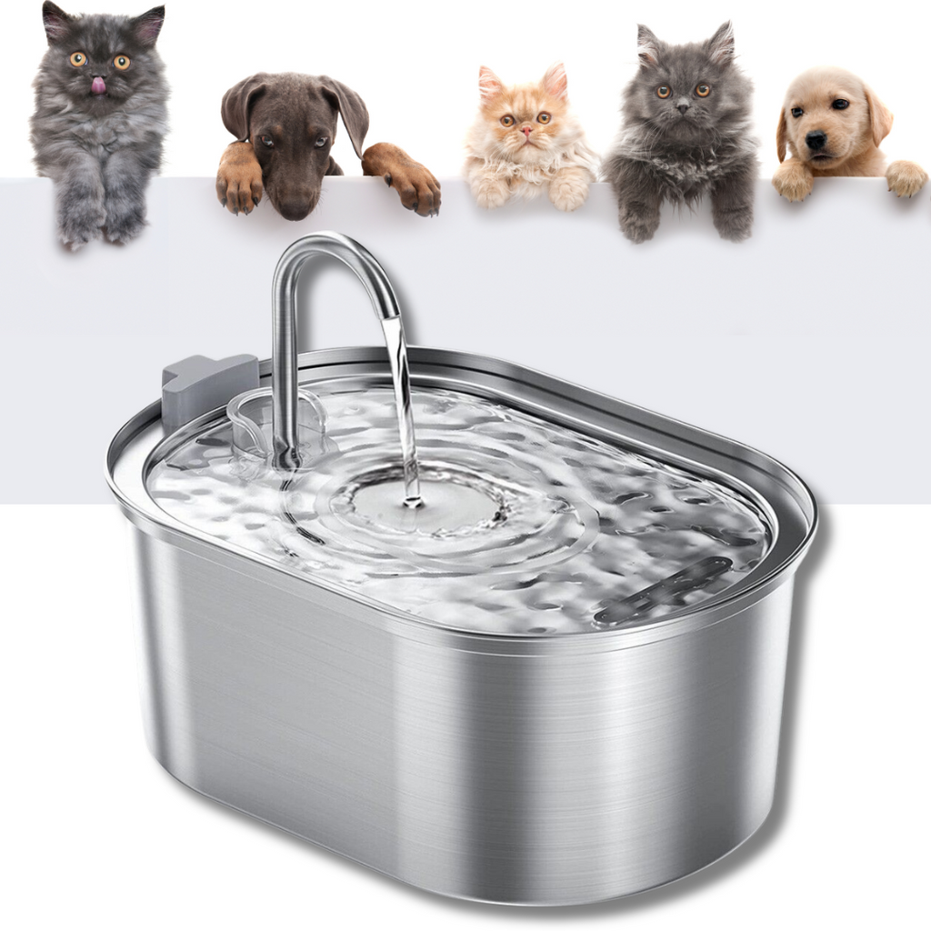 Advanced Pet Filtered Water Fountain Pro
