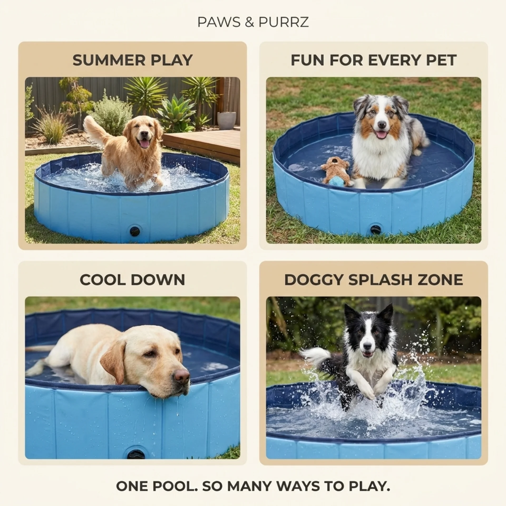 Paws & Purrz Summer Splash Doggy Pool