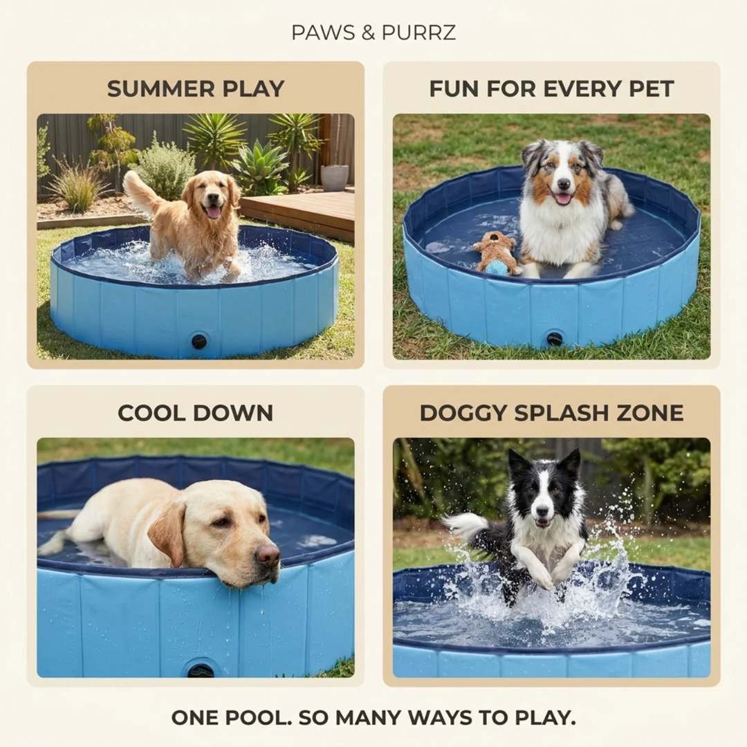 Paws & Purrz Summer Splash Doggy Pool