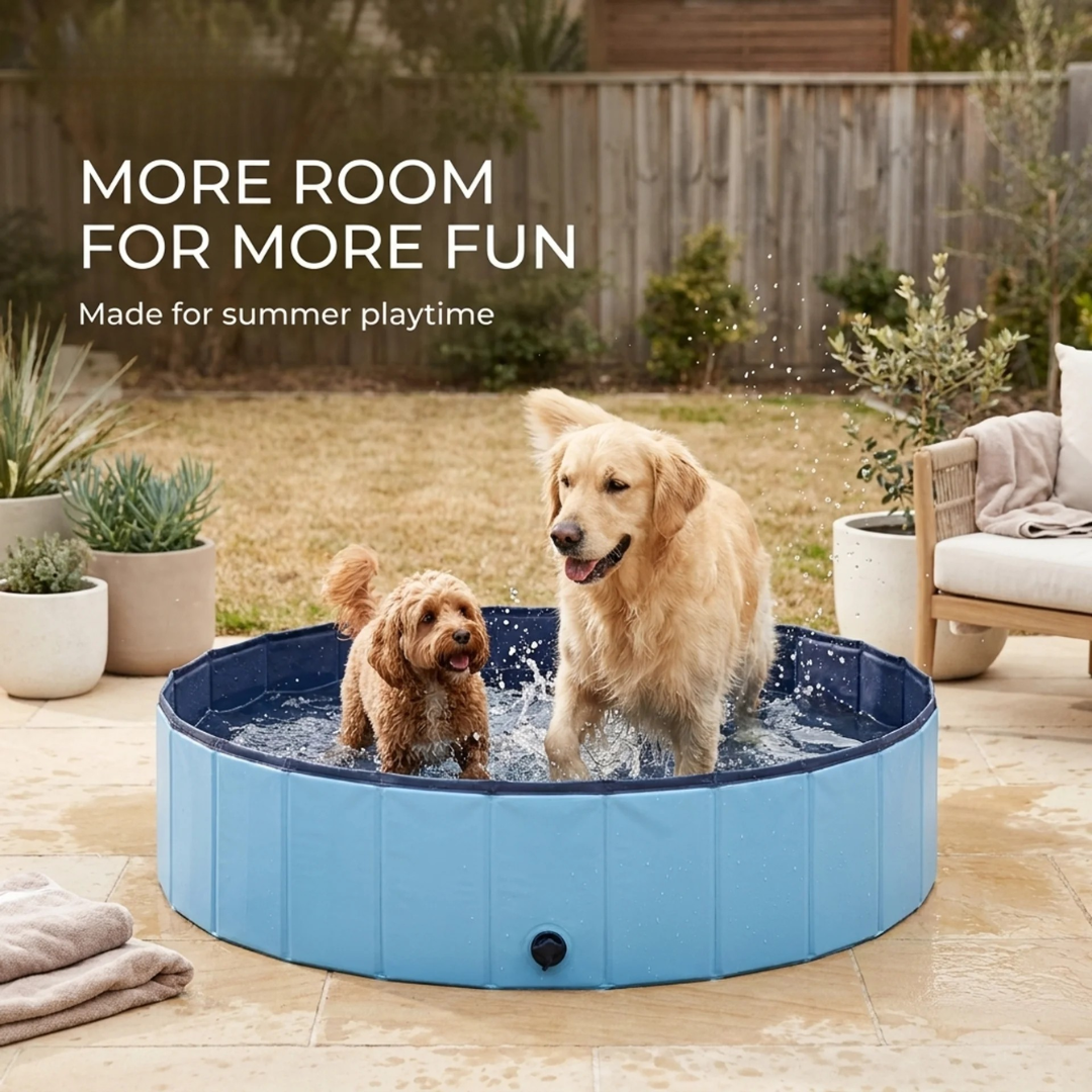 Paws & Purrz Summer Splash Doggy Pool