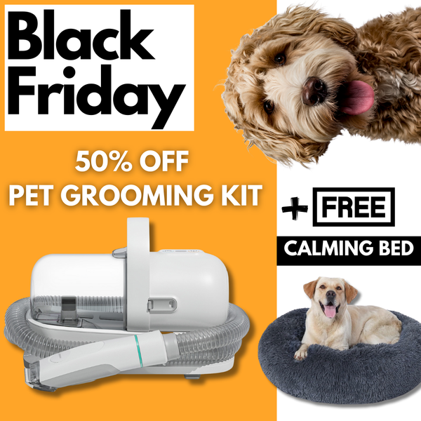 Paws & Purrz™ Advanced Pro 7-in-1 Grooming Kit + Pet Calming Bed