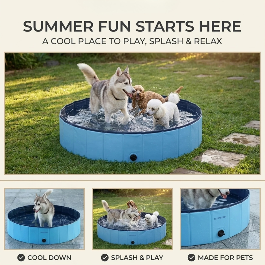 Paws & Purrz Summer Splash Doggy Pool