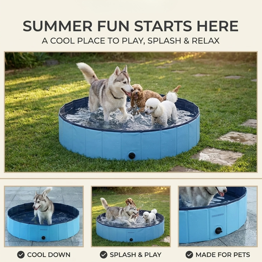 Paws & Purrz Summer Splash Doggy Pool