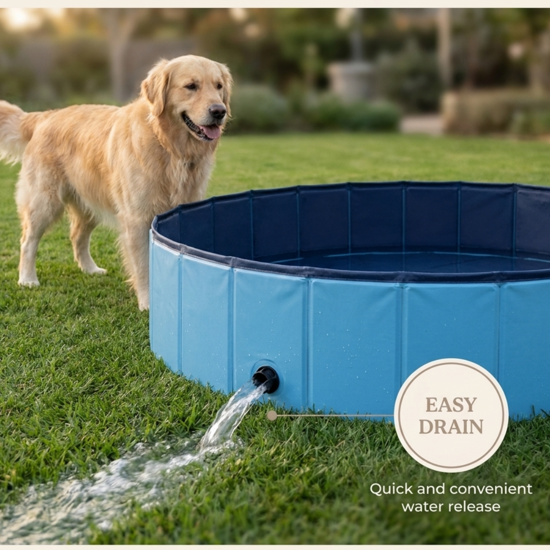 Paws & Purrz Summer Splash Doggy Pool