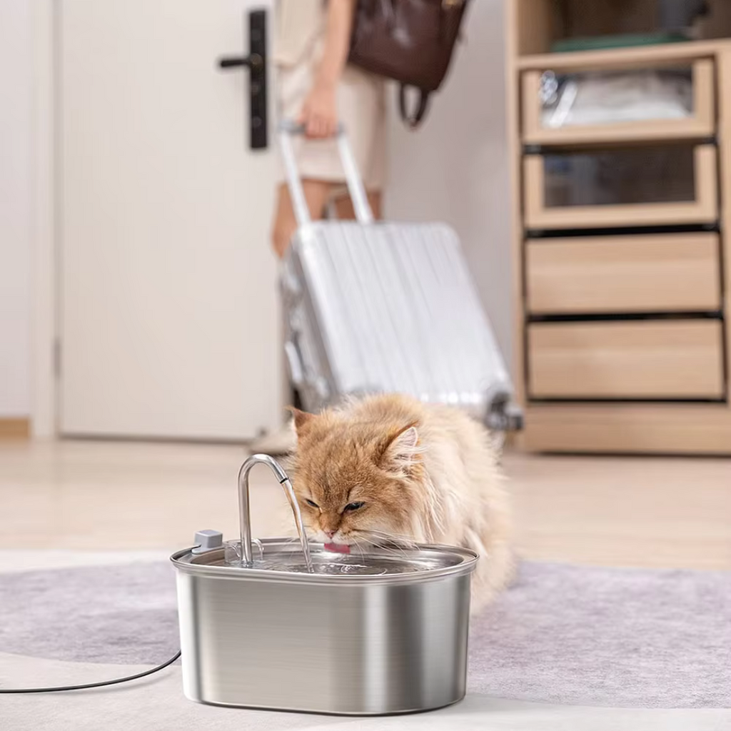 Advanced Pet Filtered Water Fountain Pro