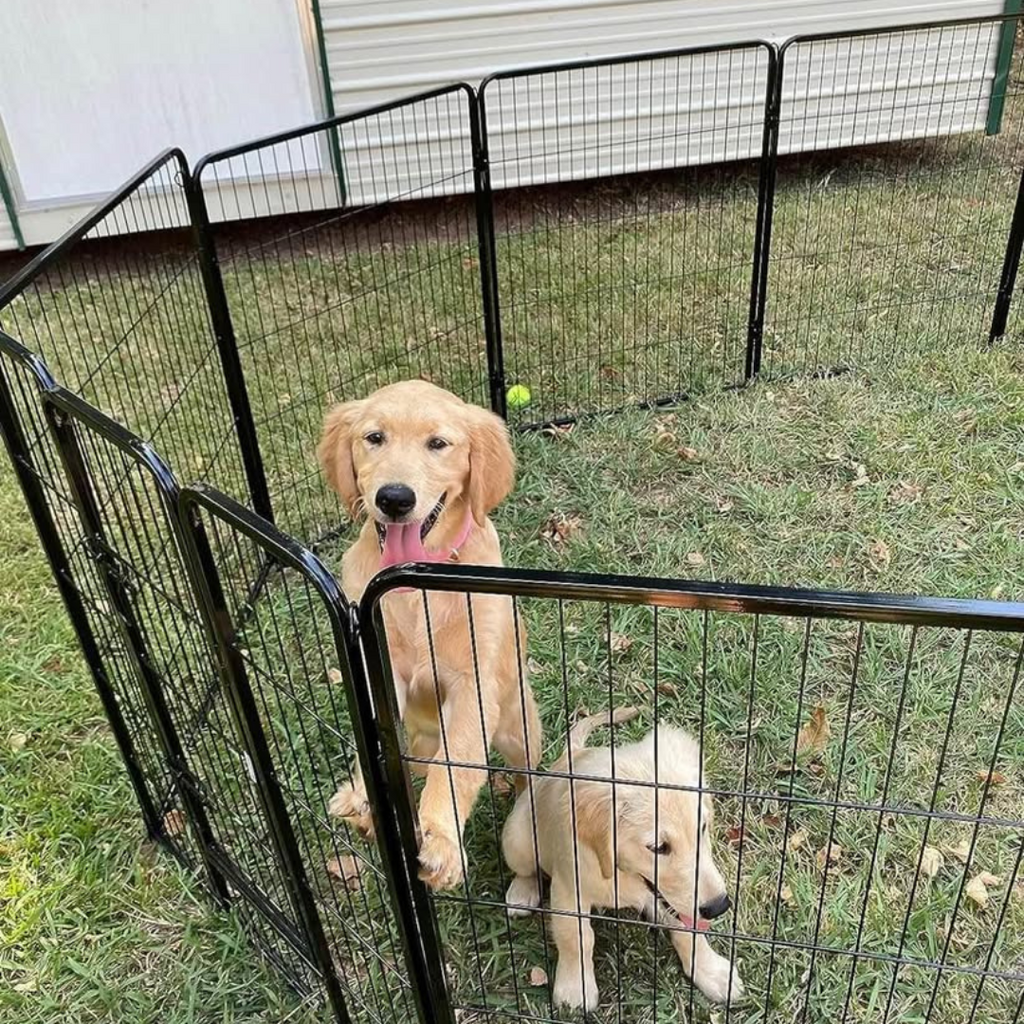 Dog 8 Panel Playpen