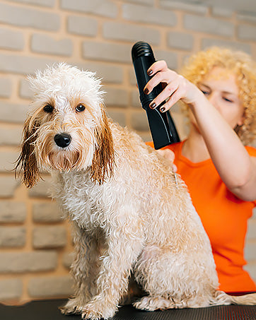 Pet Grooming Dryer – Fast & Quiet Grooming Blower