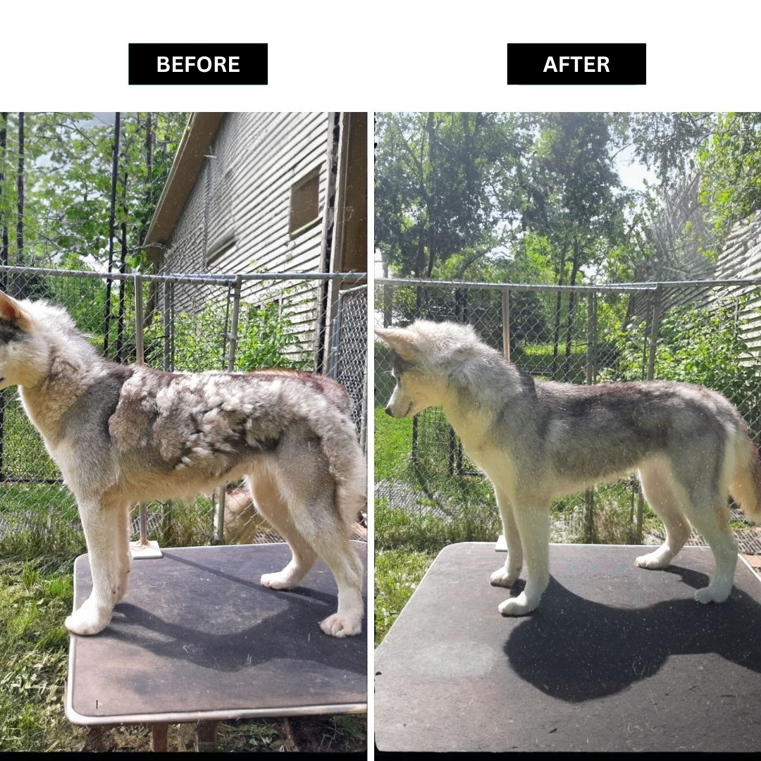 The Ultimate Grooming Pro Pack