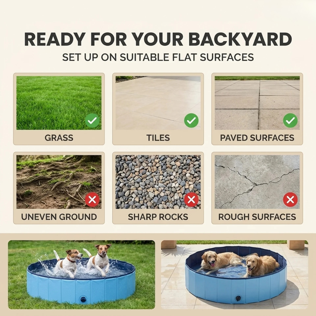 Paws & Purrz Summer Splash Doggy Pool
