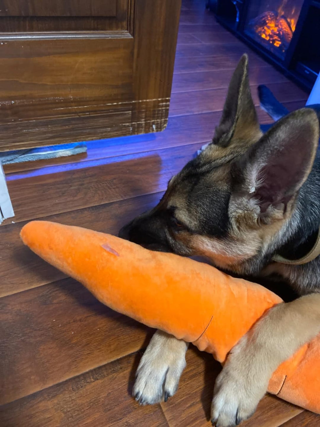 The Snuggle Carrot -  The Smart Soothing Toy for Anxious Pups