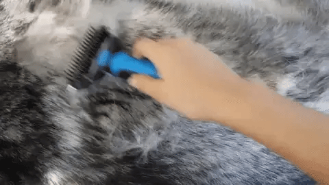 Paws & Purrz ProDeshed Grooming & Deshedding Tool