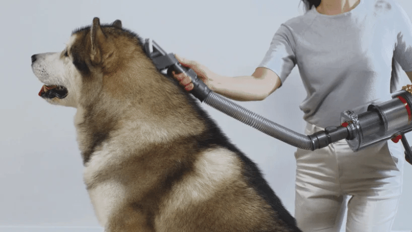PetVac Grooming Kit