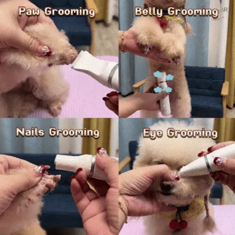 Paws & Purrz 4 IN 1 Trim Pet Pro