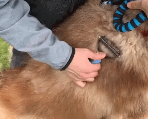 Paws & Purrz ProDeshed Grooming & Deshedding Tool
