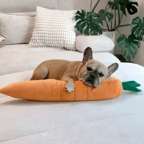 The Snuggle Carrot - The Smart Soothing Toy for Anxious Pups