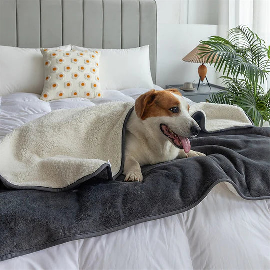 Pets Waterproof Throw Blanket