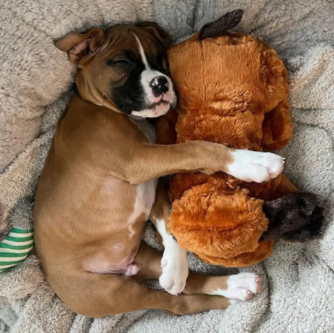 Anxiety Relief Dog Toy With A Heartbeat