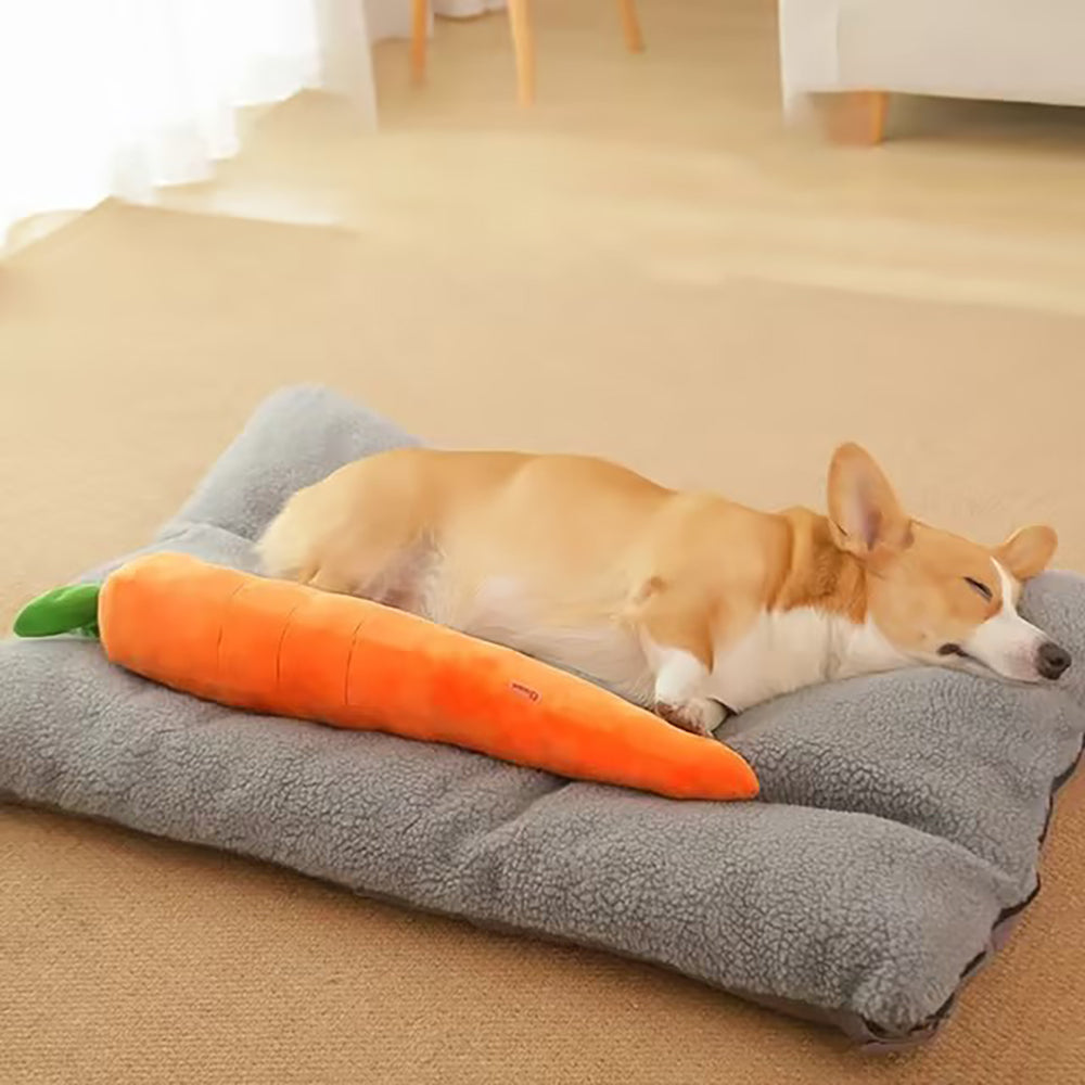 The Snuggle Carrot -  The Smart Soothing Toy for Anxious Pups