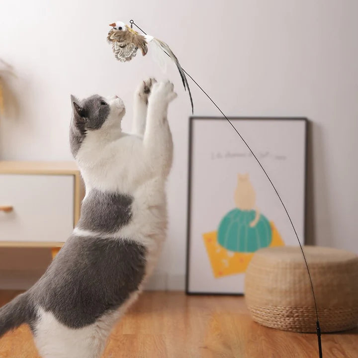 Interactive Bird Simulation Cat Toy