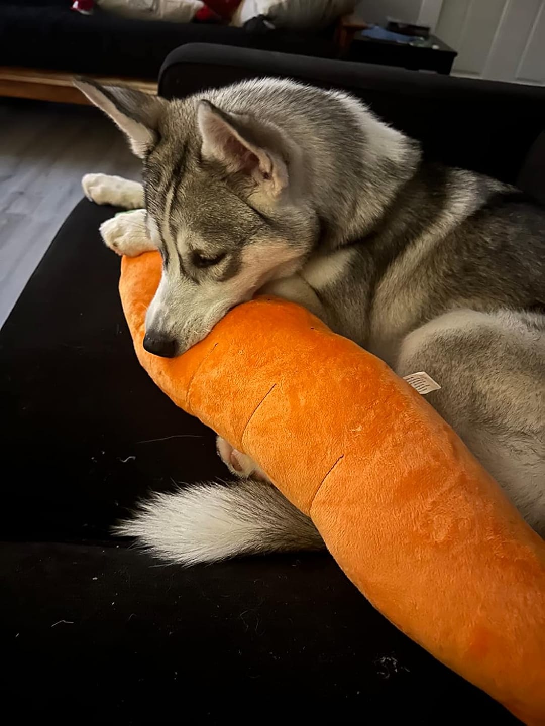 The Snuggle Carrot -  The Smart Soothing Toy for Anxious Pups