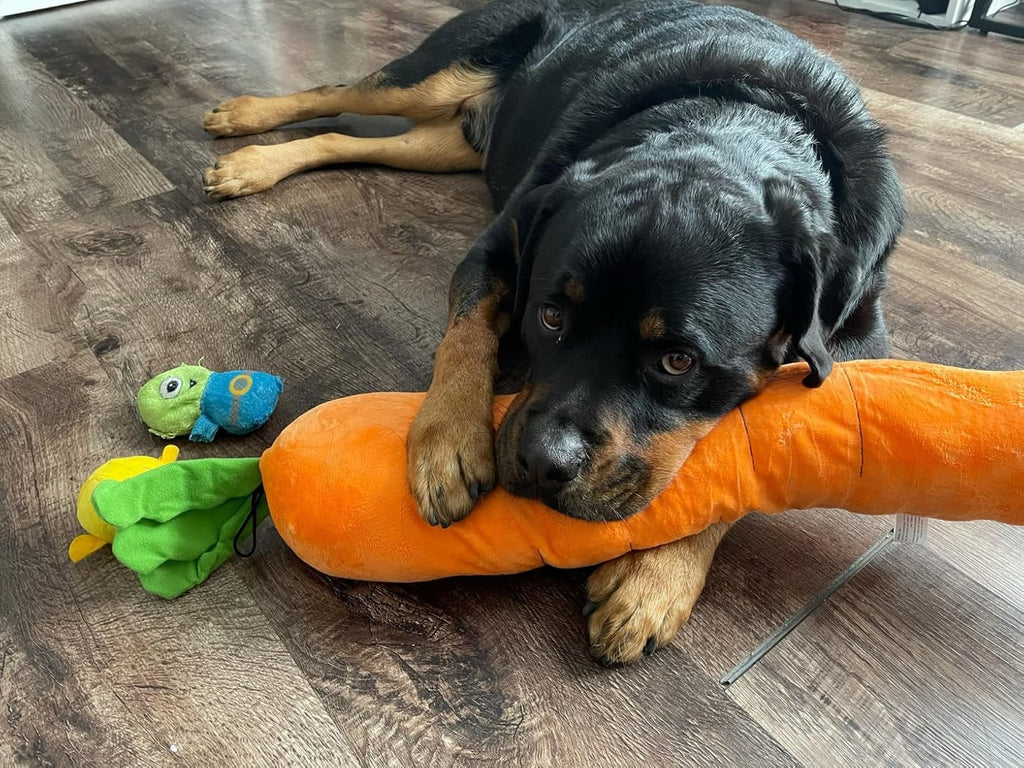 The Snuggle Carrot -  The Smart Soothing Toy for Anxious Pups
