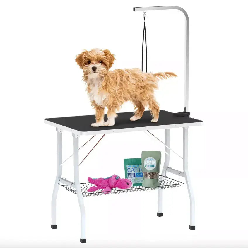 Advanced Foldable & Adjustable Pet Grooming Table for Professionals Paws and Purrz