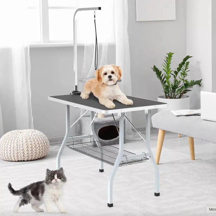 Advanced Foldable & Adjustable Pet Grooming Table for Professionals Paws and Purrz