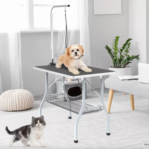 Advanced Foldable & Adjustable Pet Grooming Table for Professionals Paws and Purrz
