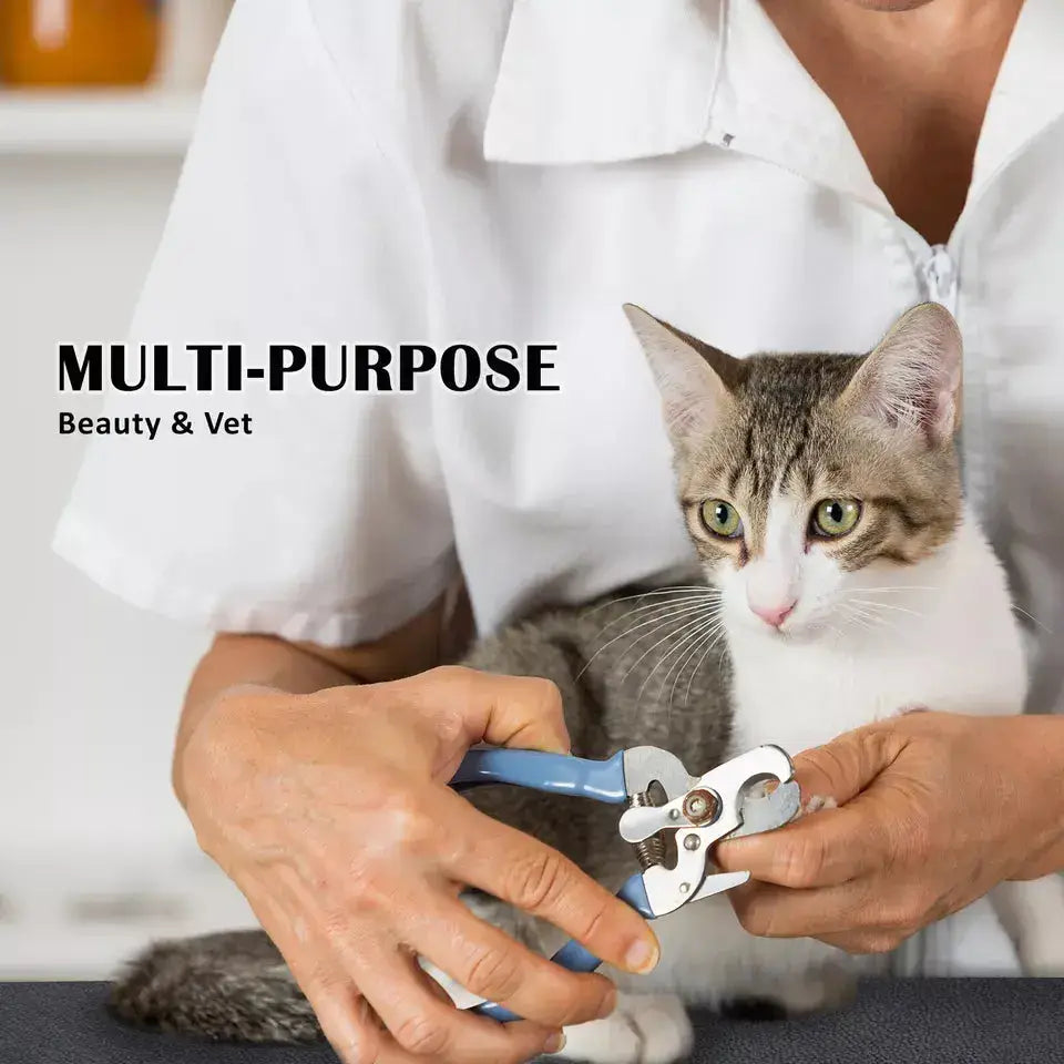 Advanced Foldable & Adjustable Pet Grooming Table for Professionals Paws and Purrz