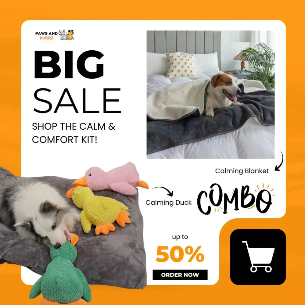 Calm & Comfort Kit – Calming Blanket Edition Paws and Purrz