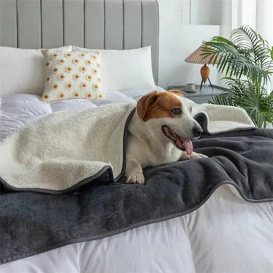 Calm & Comfort Kit – Calming Blanket Edition Paws and Purrz
