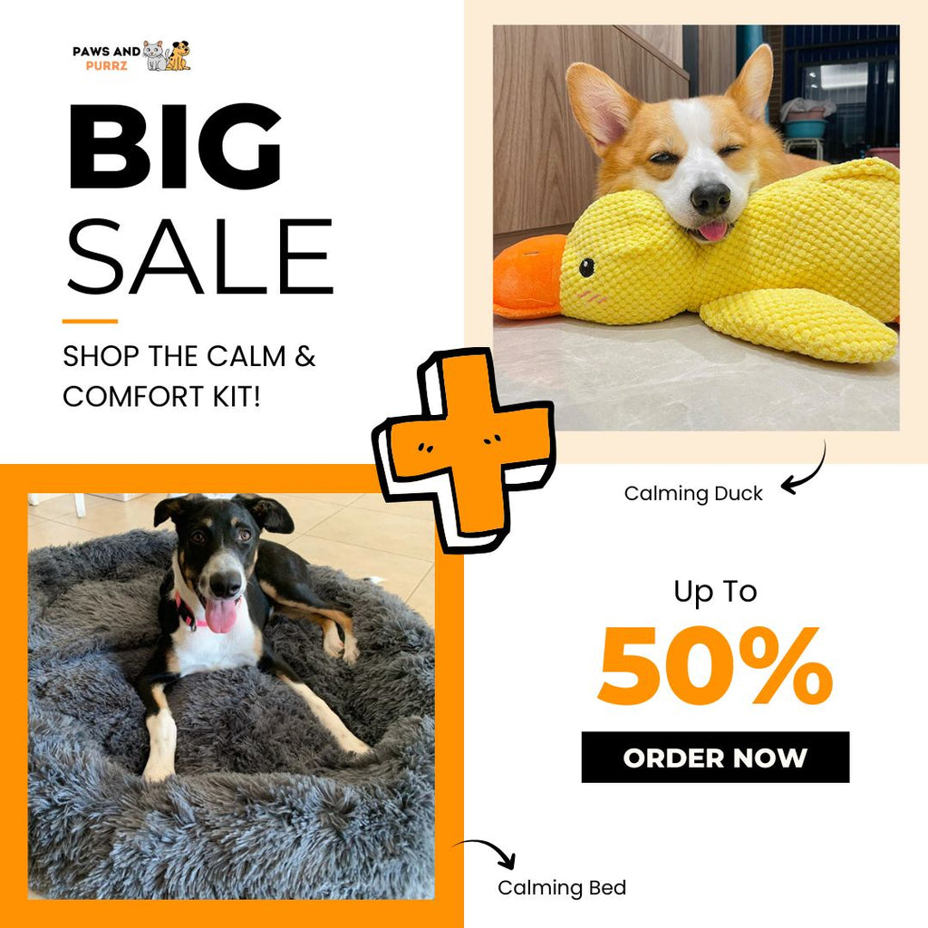 Calm & Comfort Kit – Calming Bed Edition