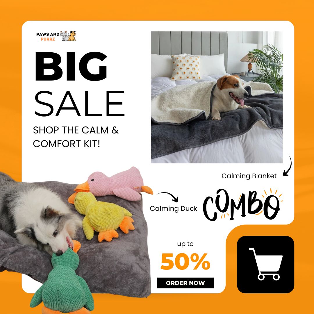 Calm & Comfort Kit – Calming Blanket Edition