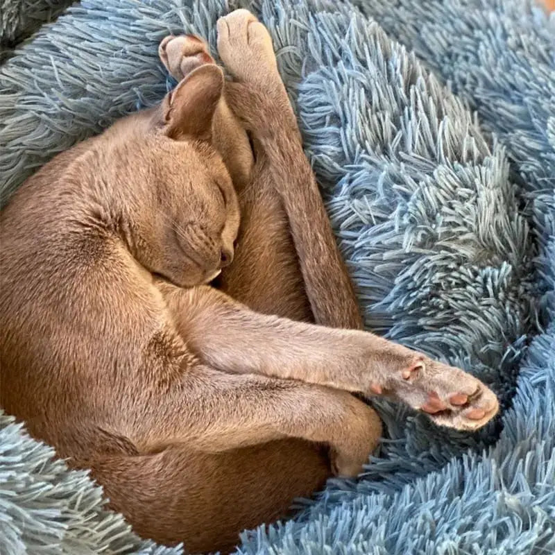 Comfort Mattress Topper and Calming Bed Paws and Purrz