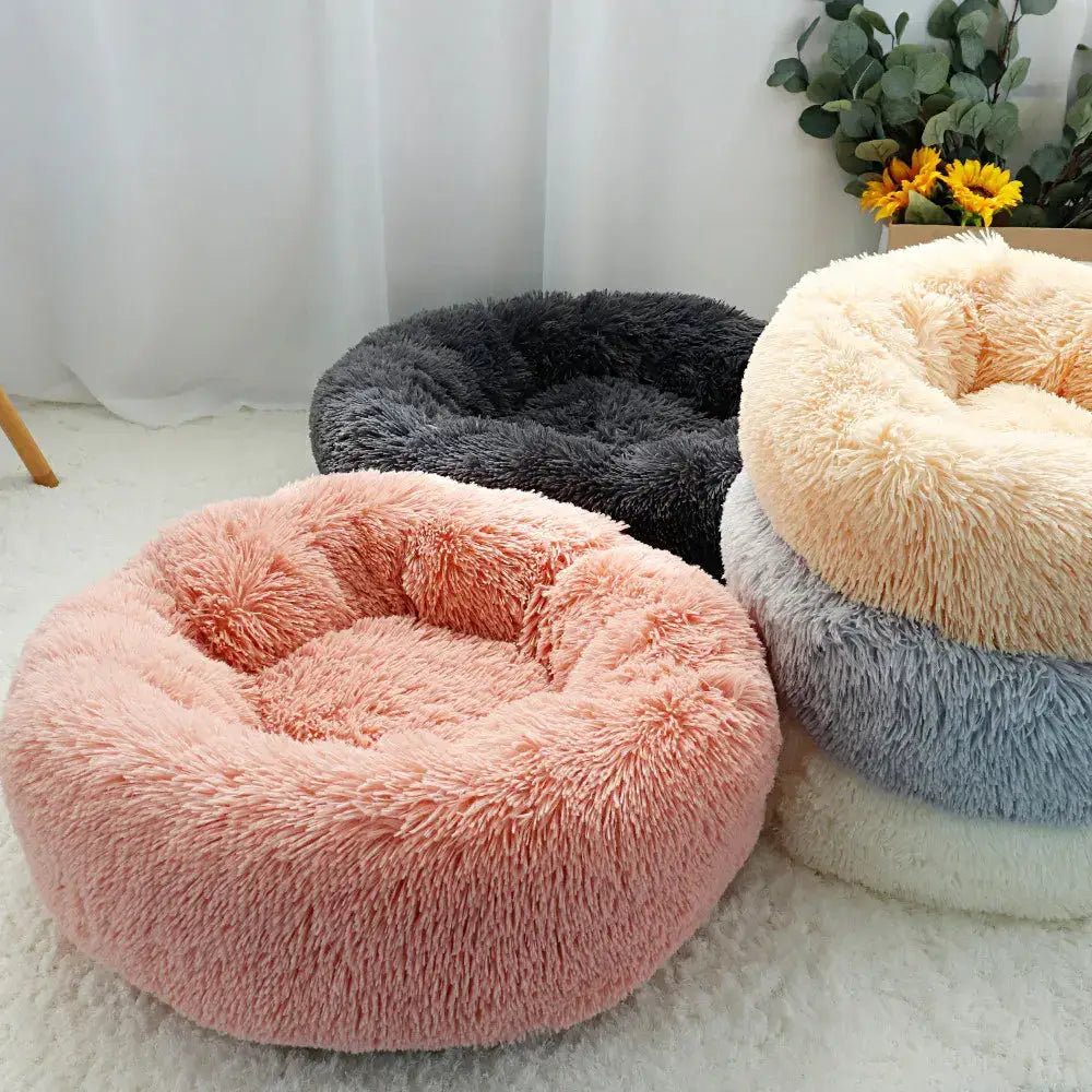 Comfort Mattress Topper and Calming Bed Paws and Purrz