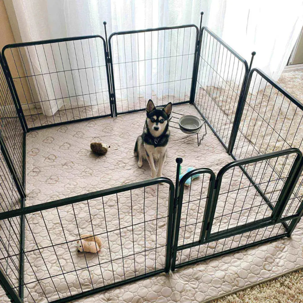 Dog 8 Panel Playpen Paws and Purrz
