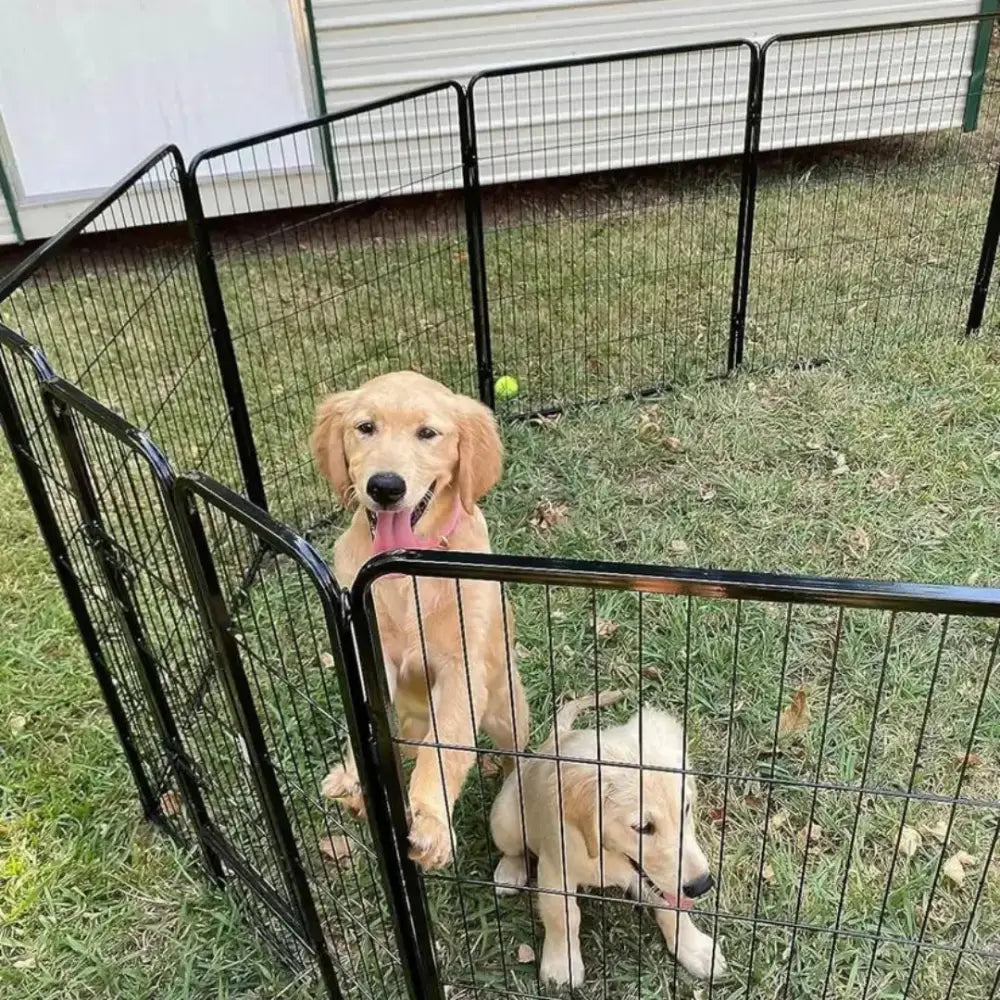 Dog 8 Panel Playpen Paws and Purrz
