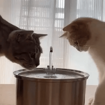Stainless steel pet water fountain with a central spout and circular base.