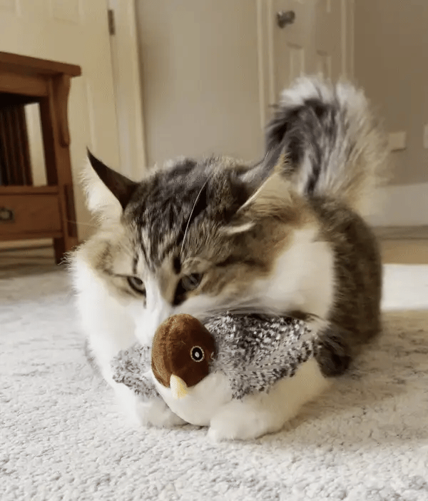 Interactive Chirping Bird Toy