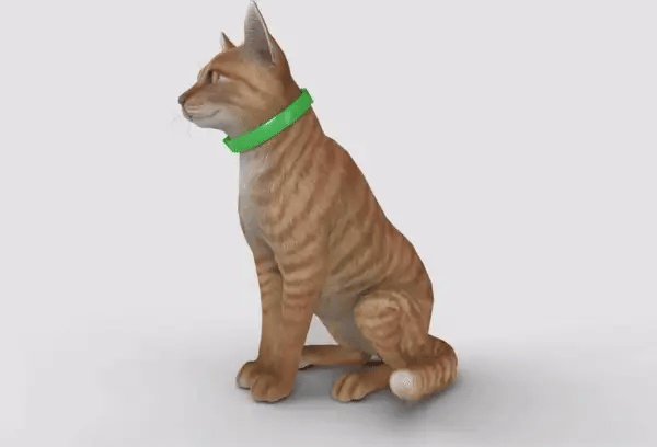 8-Month Flea & Tick Free Collar