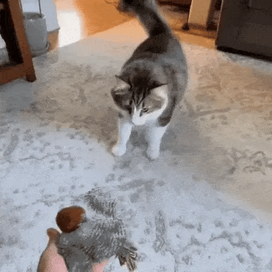 Interactive Chirping Bird Toy