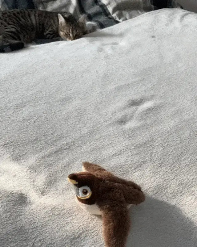 Interactive Chirping Bird Toy