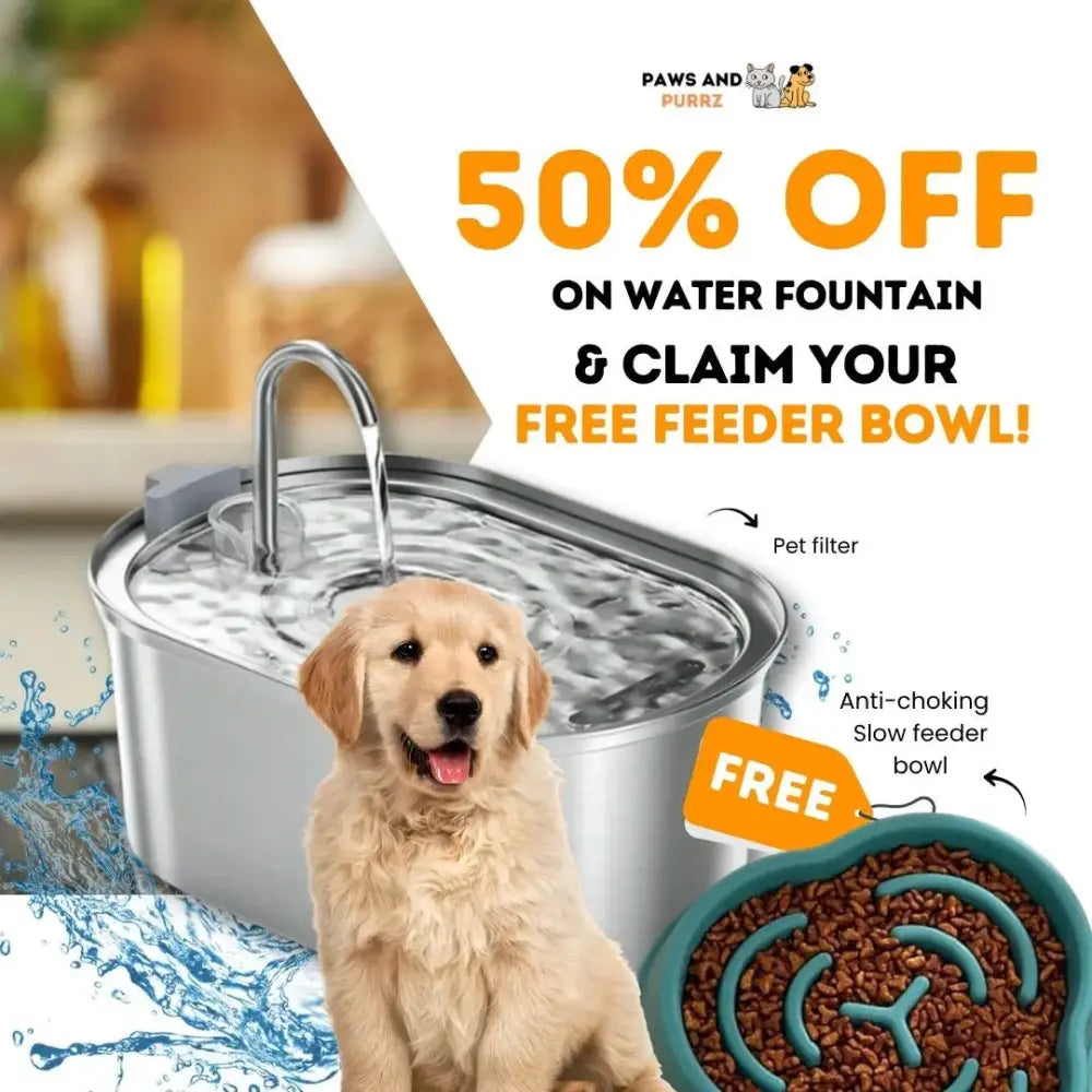 Health & Hydration Duo – Black Friday Exclusive Paws and Purrz