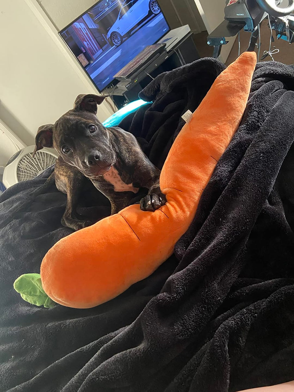The Snuggle Carrot -  The Smart Soothing Toy for Anxious Pups
