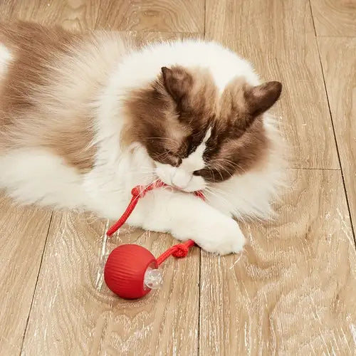 Interactive Ball Pet Toy
